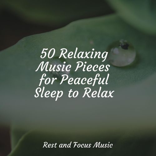 50 Relaxing Music Pieces for Peaceful Sleep to Relax