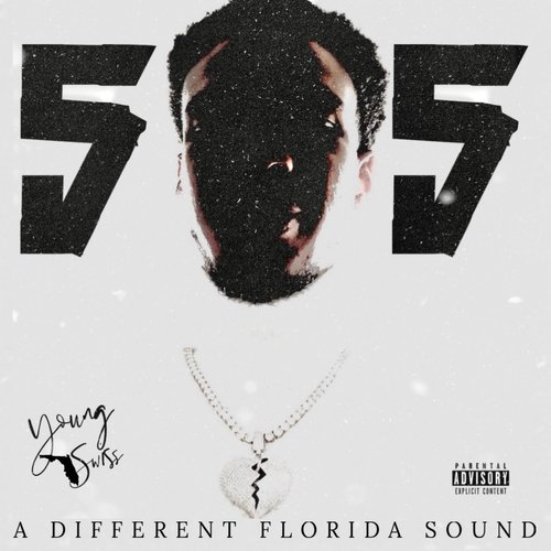 505 a Different Florida Sound_poster_image