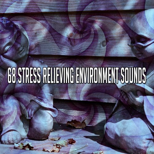 68 Stress Relieving Environment Sounds