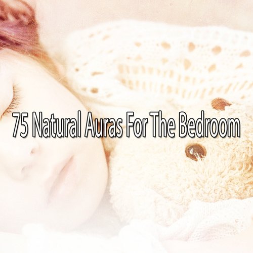 75 Natural Auras For The Bedroom
