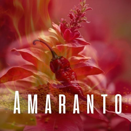 Amaranto cover art