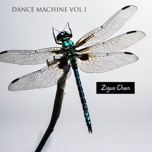 Eden (Die Slein Rmx) cover art