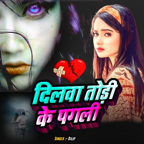 Dilwa Todi Ke Pagli (Sad Song)