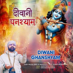 Diwani Ghanshyam-IlEoRwEGaFE