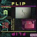 Flip