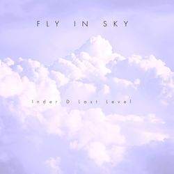 Fly in Sky