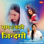 Gham Me Kati Sari Zindagi (Sad Ghazal)