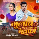 Gulab Khile Kichad Ma Bewafa