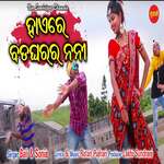 Haire Bad Gharar Nani