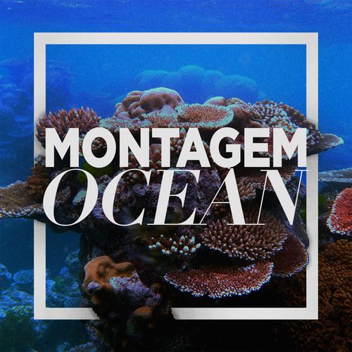 MONTAGEM OCEAN_poster_image