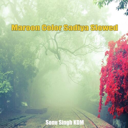 Maroon Color Sadiya Slowed