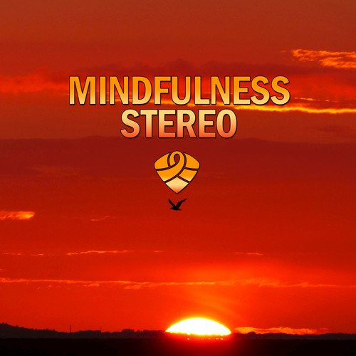 Mindfulness Stereo, Vol. 9_poster_image