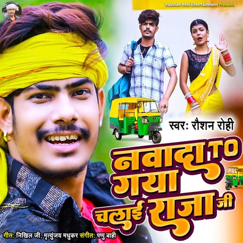 Nvada To Gaya Chalai Raja Ji cover art