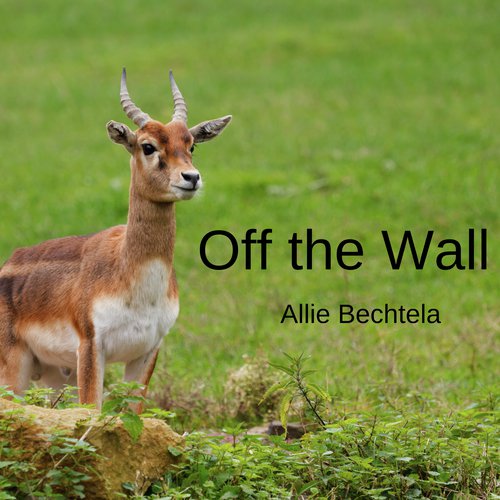 Off the Wall