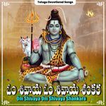Om Shivaya Om Shivaya Shankara