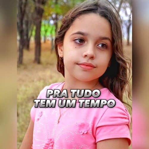 Pra Tudo Tem Um Tempo_poster_image