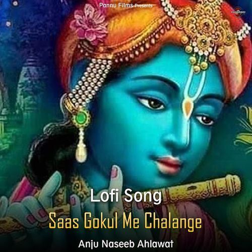 Saas Gokul Me Chalange (lofi remix)