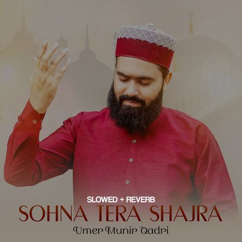 Sohna Tera Shajra Lofi Version