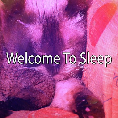 Welcome To Sleep_poster_image