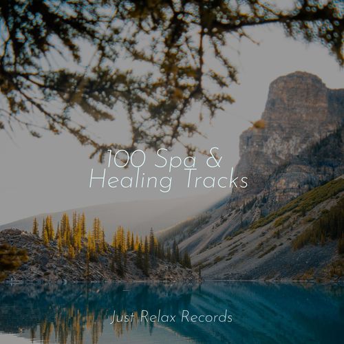 100 Spa & Healing Tracks
