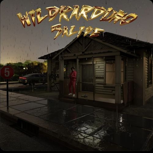 Flash cover art