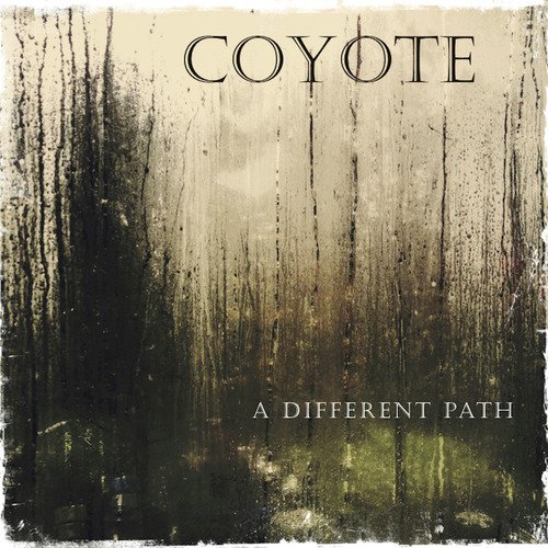A Different Path