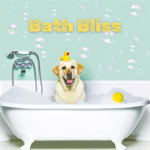 Bath Bliss: Tranquil Evening with Soothing Experience for You and Your Furry Friend_poster_image