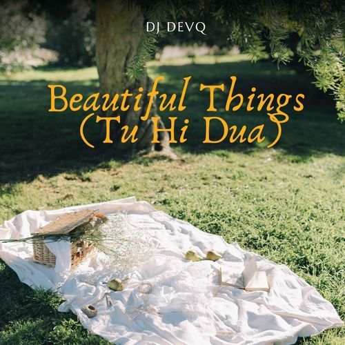 Beautiful Things 2 (Tu Hi Dua) (Speed Up & Reverb)