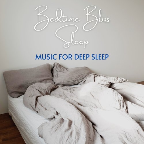 Deep Sleep Systems cover art