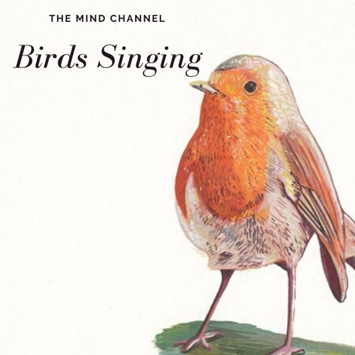 Robin cover art