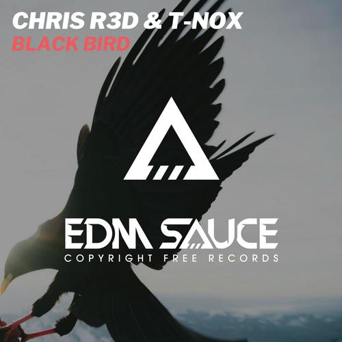 Chris R3D & T-NOX