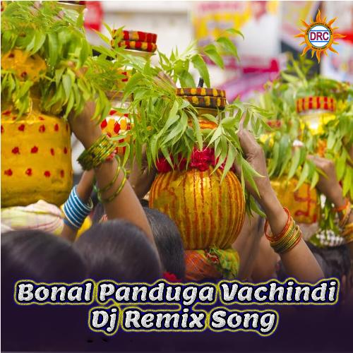 Bonal Panduga Vachindi (DJ Remix Song)