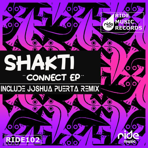 Connect (Joshua Puerta Dub Mix)