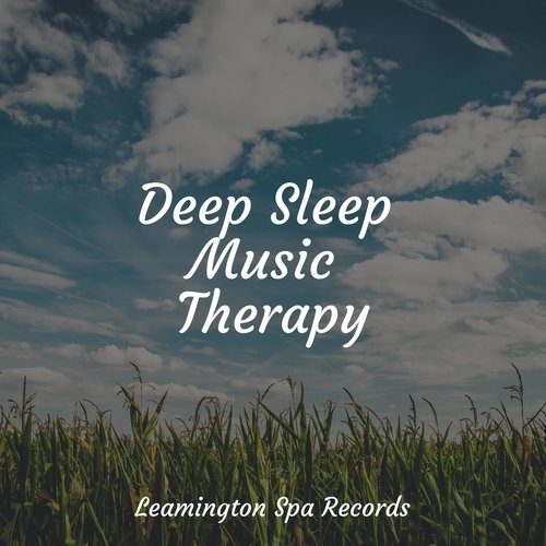 Deep Sleep Music Therapy_poster_image