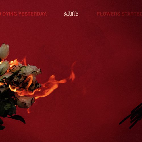 Flowers Started Dying Yesterday