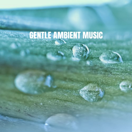 Gentle Ambient Music