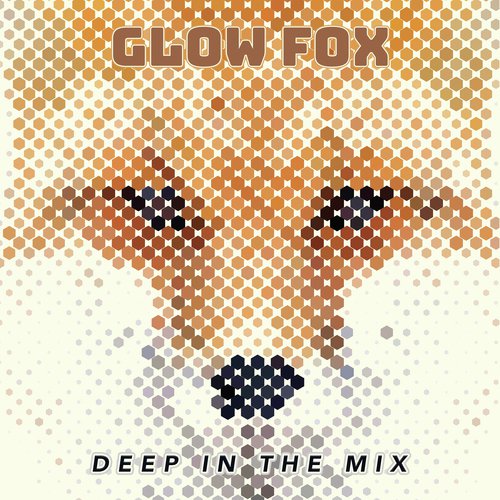 Glow Fox: Deep in The Mix_poster_image