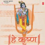 Shri Krishan Yashodanandan Braj Sukh Dham         Ab Aao Shri Bhagwan