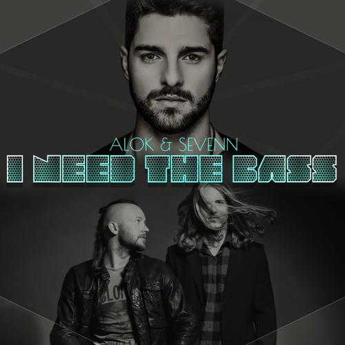 I Need The Bass_poster_image