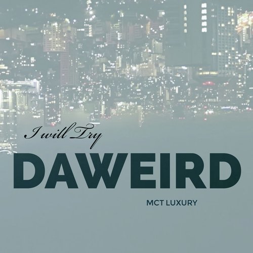 I Will Try (Salade Tomate Mix) cover art
