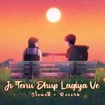 Jo Tenu Dhup Lagiya Ve Lo-fi