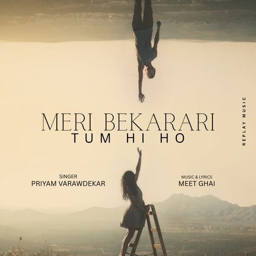 Meri Bekarari Tum Hi Ho