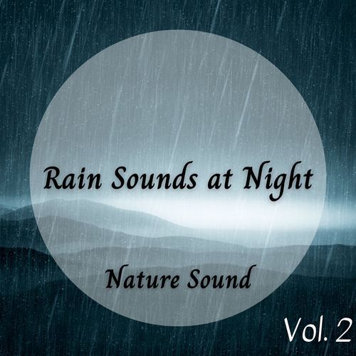 Nature Sound: Rain Sounds at Night Vol. 2_poster_image