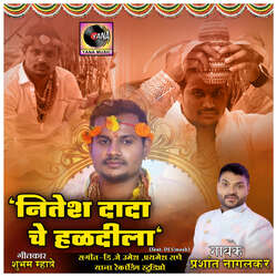 Nitesh Dada Che Haldila (feat. Dj Umesh)-HVxadCFYA3k