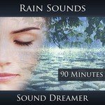 Rain Sounds - 90 Minutes