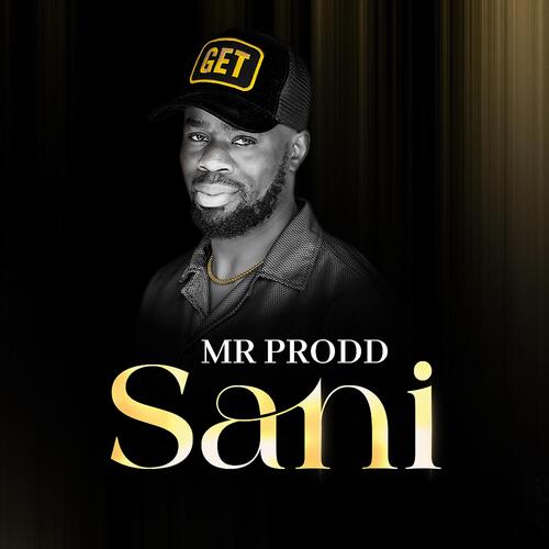 Sani cover art
