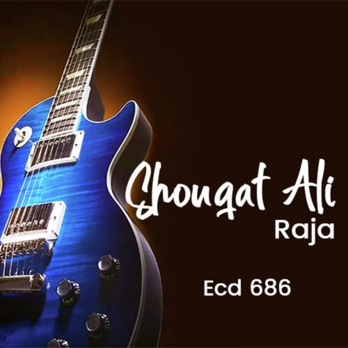 Shouqat Ali Raja, Vol. 686