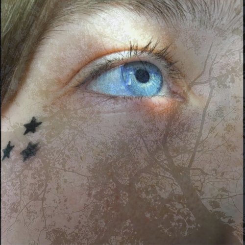 Sink In cover art