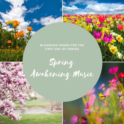 Spring Juice cover art