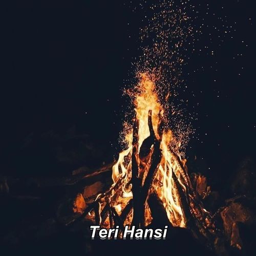 Teri Hansi